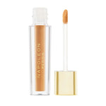 Napoleon Perdis Camera Finish Concealer Mn15