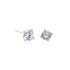 Rossan FE4122S 6mm Cubic Zirconia Stud Earrings