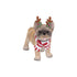 Splosh Christmas 2025 Reindeer Dog Ornament