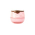 Hunny Simply Strawberry Honeypot Lip Balm for Moisturizing and Hydrating Lips 6.5G