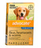 Advocate Flea & Wormer Spot-on for Dogs over 25KG 3 Pack