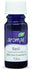 Aromae Essential Oils Basil Essential Oil 12ML