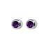 Studex H/Sell Regular Birthstone February SR202W