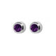 Studex H/Sell Regular Birthstone February SR202W
