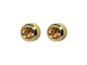 Studex Sr211y Regular Birthstone November Y Earring