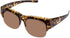 Cancer Council Bulimba Sunglasses Polarised Lenses