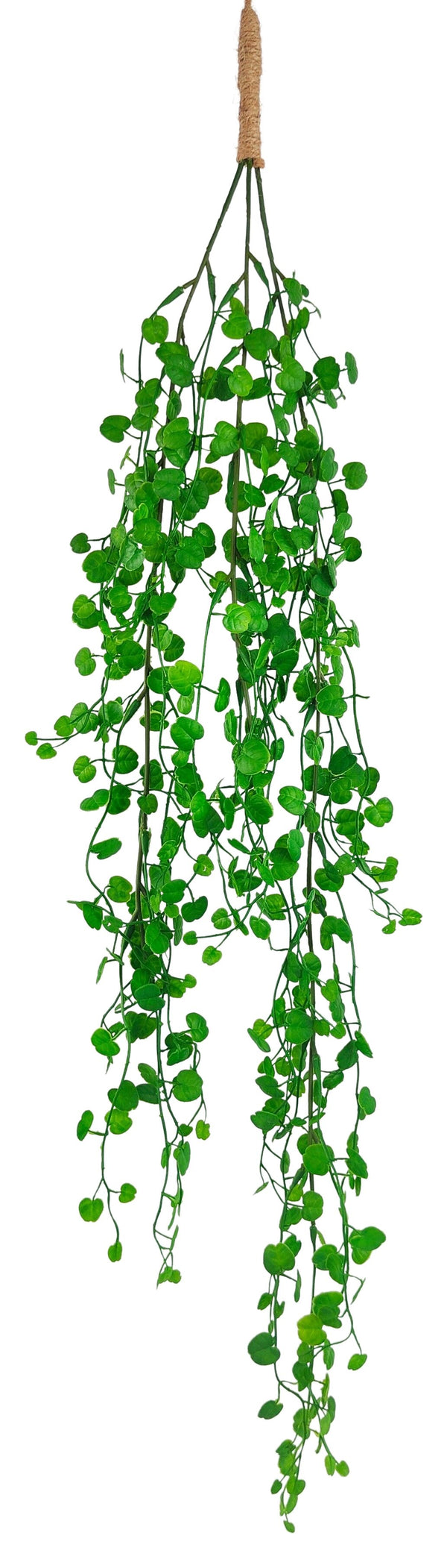 String Of Hearts Plant Green 89Cm