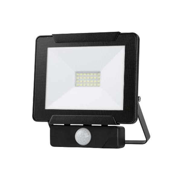 Dino Outdoor Floodlight with Motion Sensor 20W